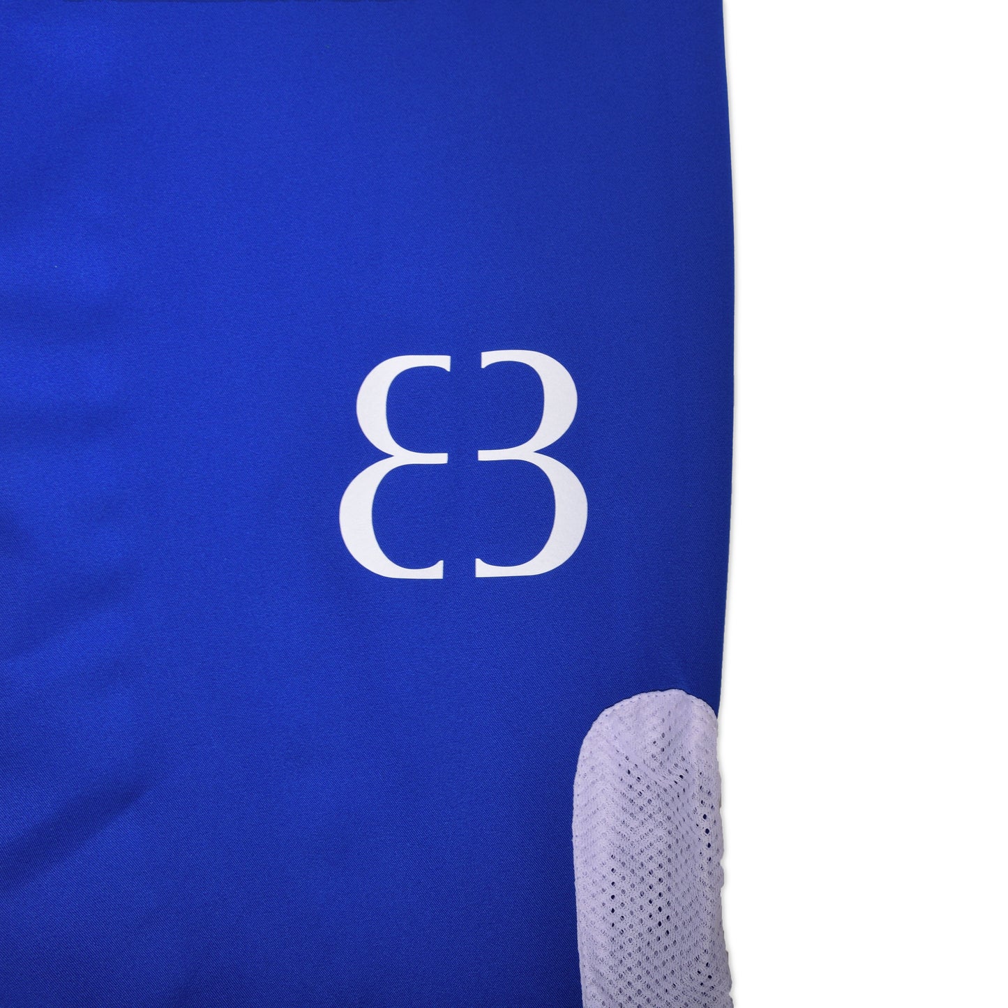 An up close look at the white, knee-level logo screenprint on the left pant leg of the Nylon Track Pants, directly above the lower white mesh panel.